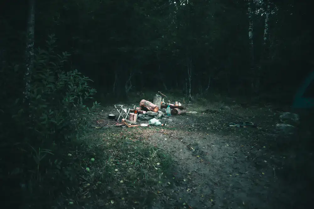 Players gathered around a campfire in a dark dense forest