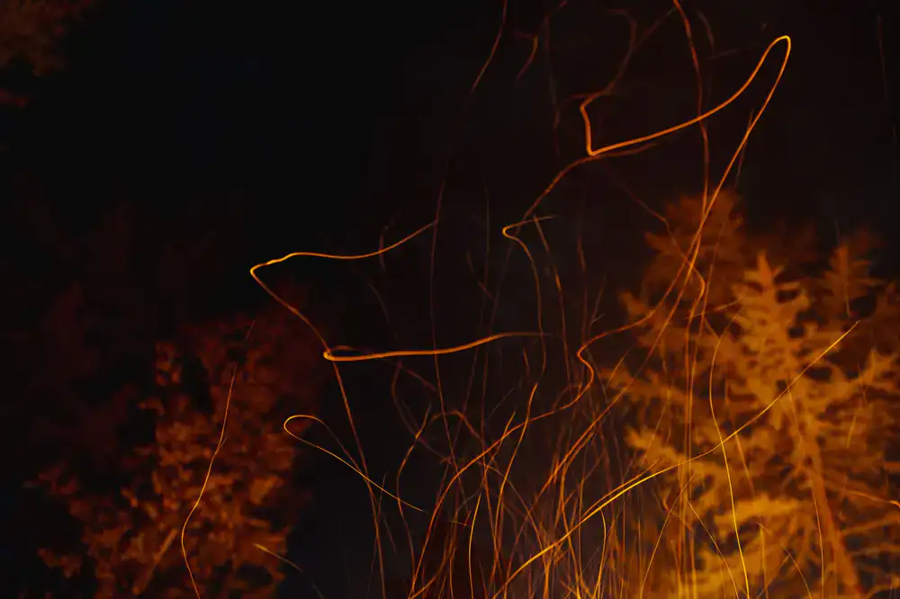 Dark forest clearing with campfire embers