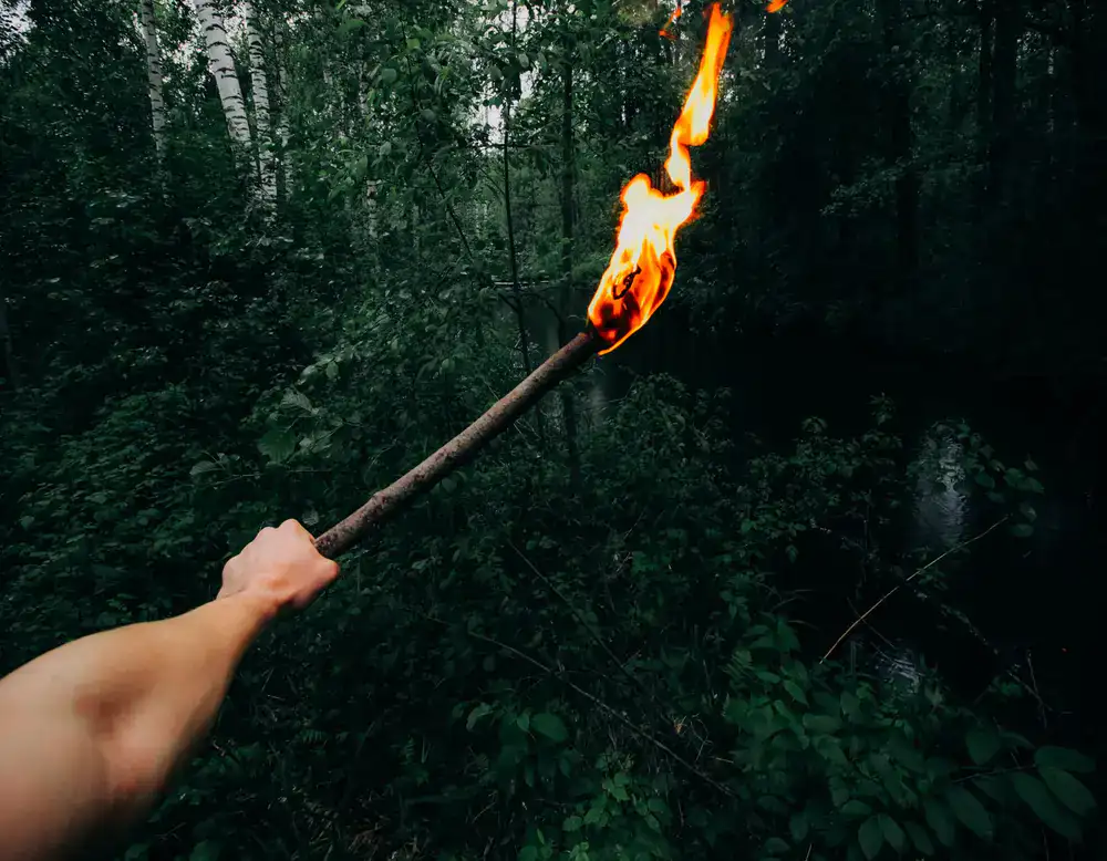 Nighttime survival scene with torchlight