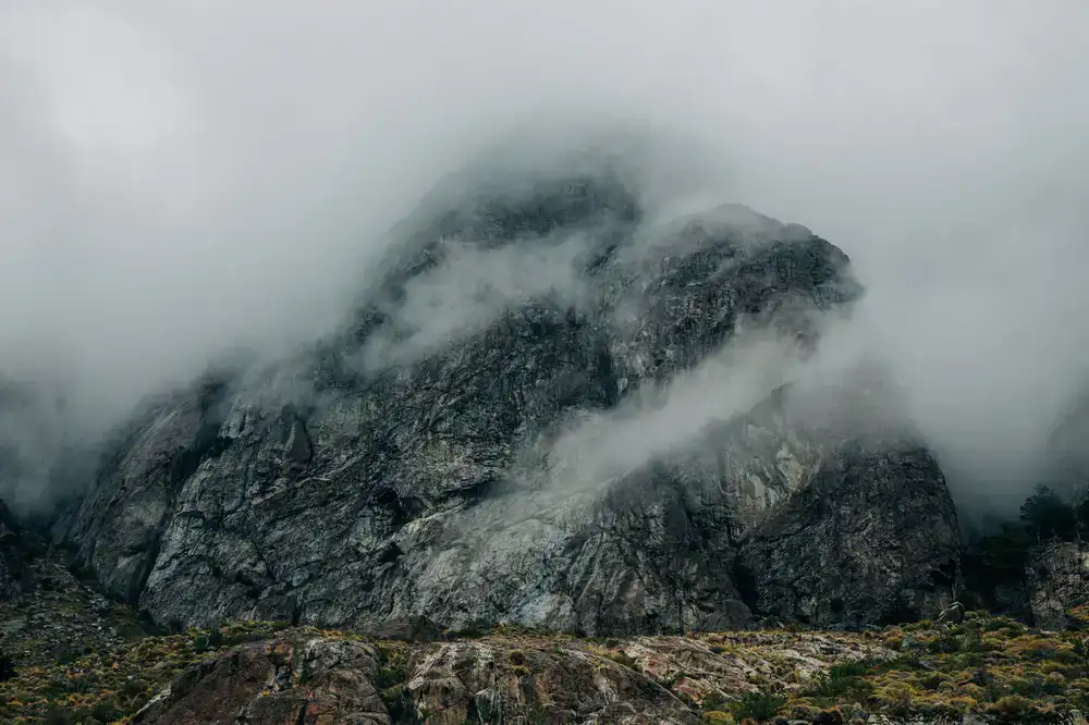 A vast, fog-covered wilderness showcasing atmospheric game art